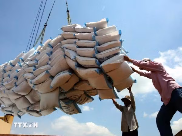 Hàng hóa Việt Nam xuất sang Hoa Kỳ không cạnh tranh trực tiếp với doanh nghiệp Hoa Kỳ trên thị trường Hoa Kỳ. (Ảnh: TTXVN)