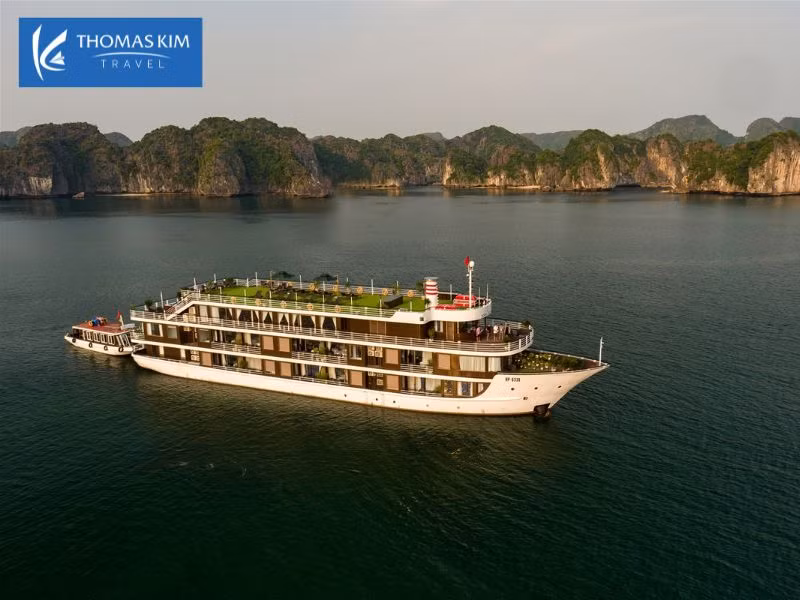 Các tour du thuyền Vịnh Hạ Long hấp dẫn không thể bỏ lỡ.