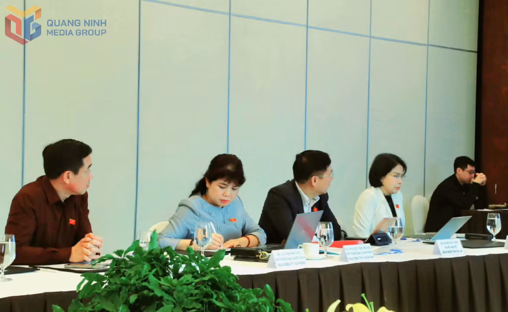 Đồng chí Nguyễn Thị Thu Hà, Phó Trưởng đoàn ĐBQH tỉnh, tham dự hội thảo.