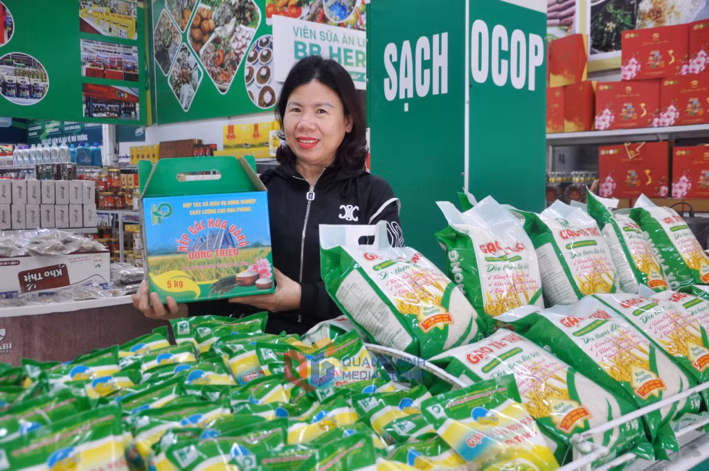 Sản phẩm Gạo nếp cái hoa vàng của HTX Hoa Phong nằm trong chuỗi cung ứng thực phẩm an toàn.