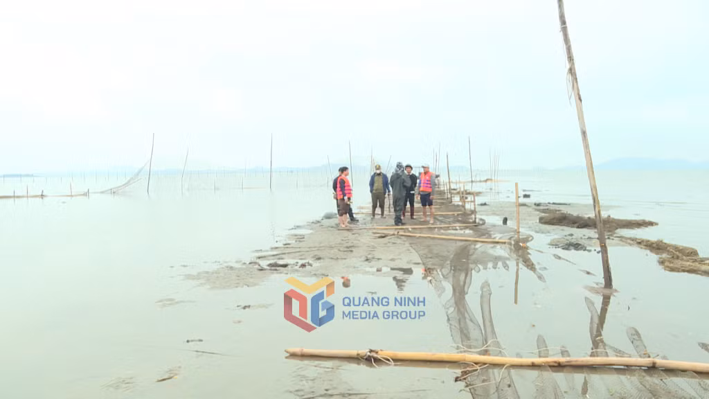 Tranh thủy con nước thủy triều xuống thấp các lực lượng chức năng mới tiến hành xử lý được các trường hợp vi phạm.