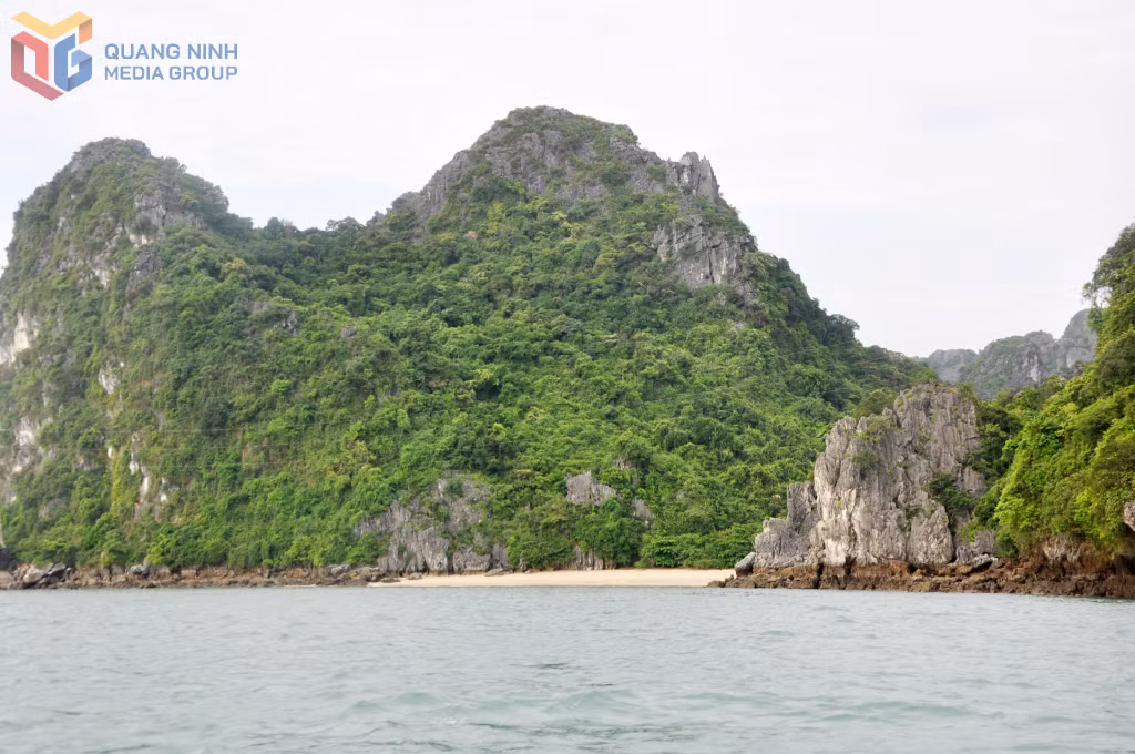 Bãi tắm Cái Lim thuộc phạm vi Vườn quốc gia Bái Tử Long là một điểm nằm trong hành trình tham quan, nghỉ đêm trên vịnh Bái Tử Long.