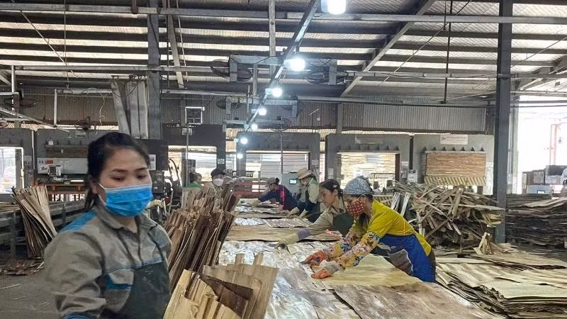 Sản xuất ván ép xuất khẩu tại Công ty cổ phần Sơn Thủy, tỉnh Hòa Bình. (Ảnh VŨ HOÀNG )