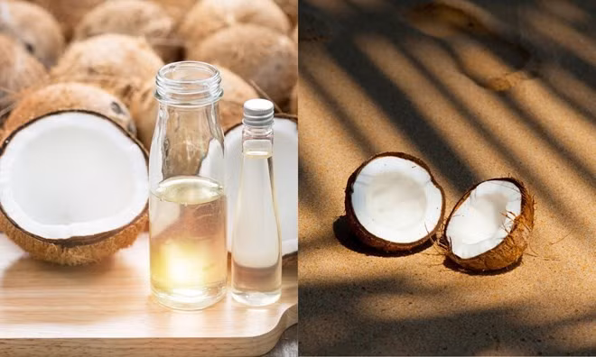 Bảo quản quả dừa đúng cách sẽ giúp bạn giữ được thực phẩm này tươi lâu hơn. Đồ họa: Thùy Dương