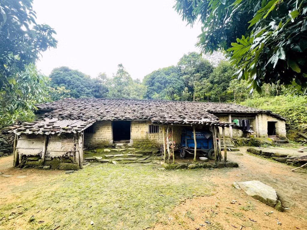 Ngôi nhà sàn cổ của gia đình bà Nình Móc Màu tại xã Đại Dực, huyện Tiên Yên. Ảnh: Xuân Hòa