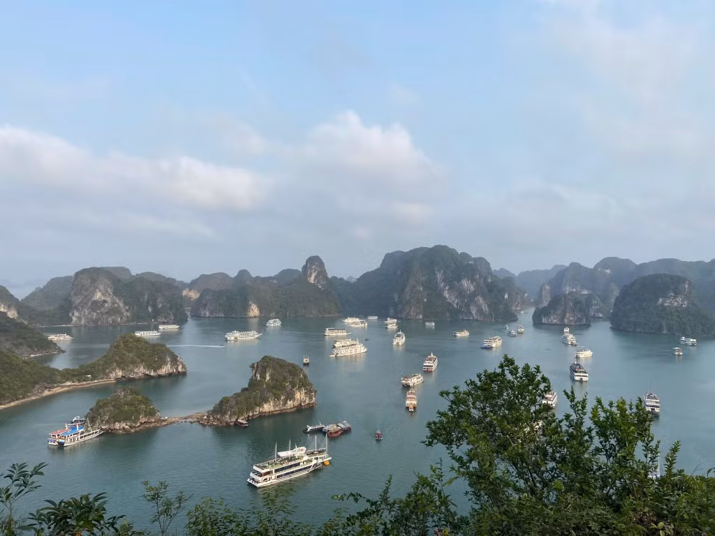 Công tác quản lý, bảo vệ, phát huy giá trị di sản Vịnh Hạ Long có sự phối hợp của rất nhiều ngành, đơn vị, địa phương liên quan.