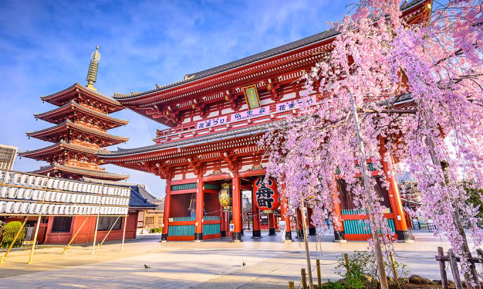 Chùa Asakusa, điểm hành hương năm mới ở Tokyo. Ảnh:Tokyo Travel Guide
