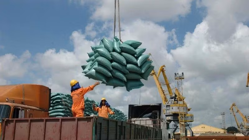 Xuất khẩu gạo sang Trung Quốc sụt giảm mạnh.