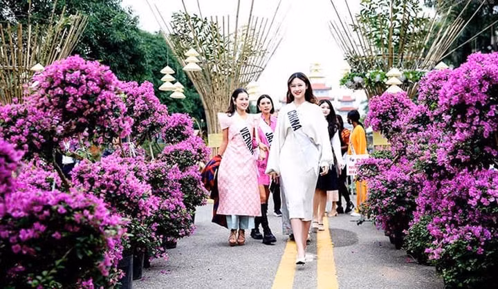 Các thí sinh tham dự cuộc thi Hoa hậu du lịch thế giới 2022 chiêm ngưỡng Festival Hoa Mê Linh.