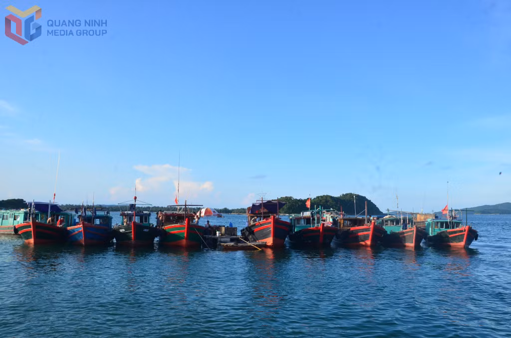 Ngư dân Cô Tô luôn đồng hành bên nhau cùng vươn khơi bám biển.