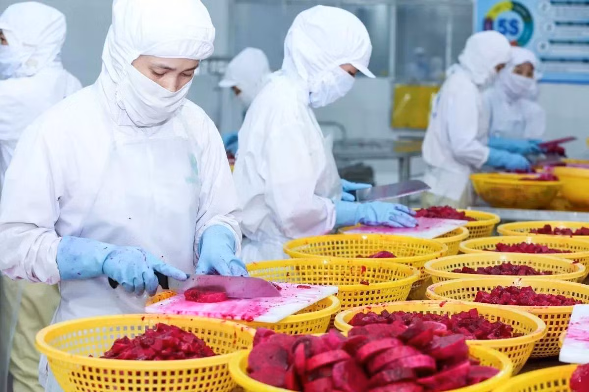 Rau quả Việt Nam có nhiều cơ hội tại thị trường Thuỵ Điển (Ảnh: Moit)