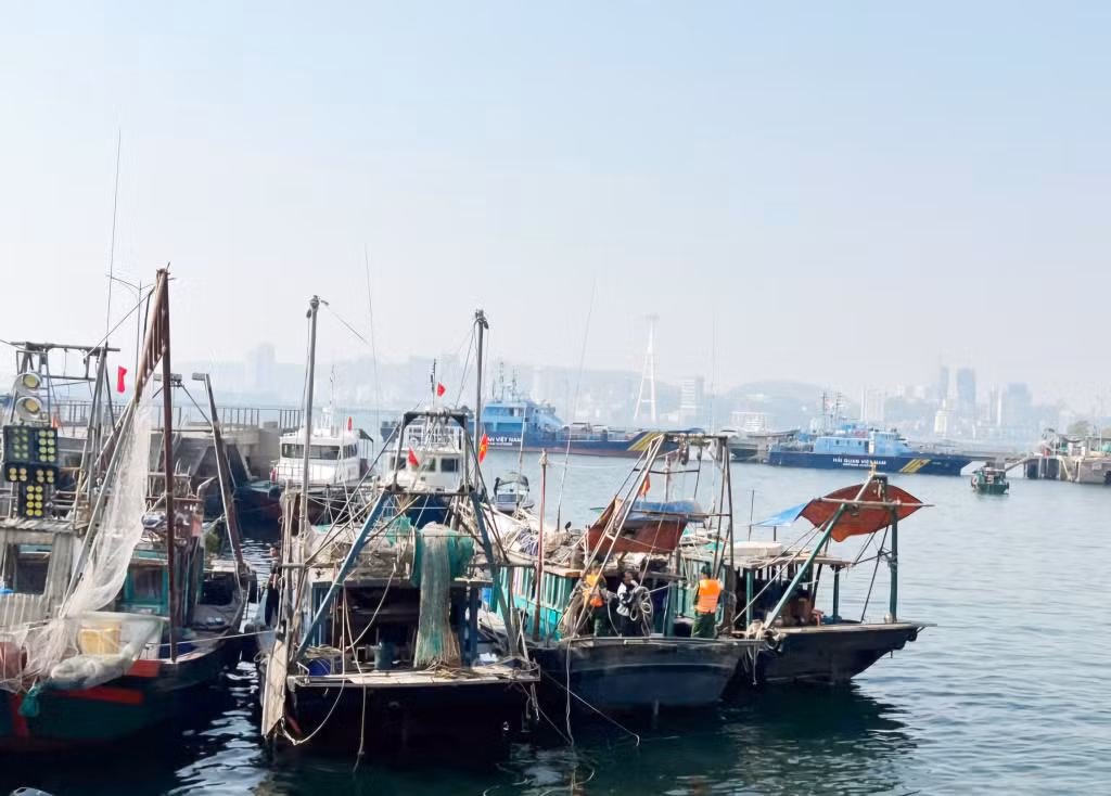 Tàu cá vi phạm quy định của pháp luật về khai thác thủy sản bị Đồn BPCK cảng Hòn Gai bắt giữ, xử lý.