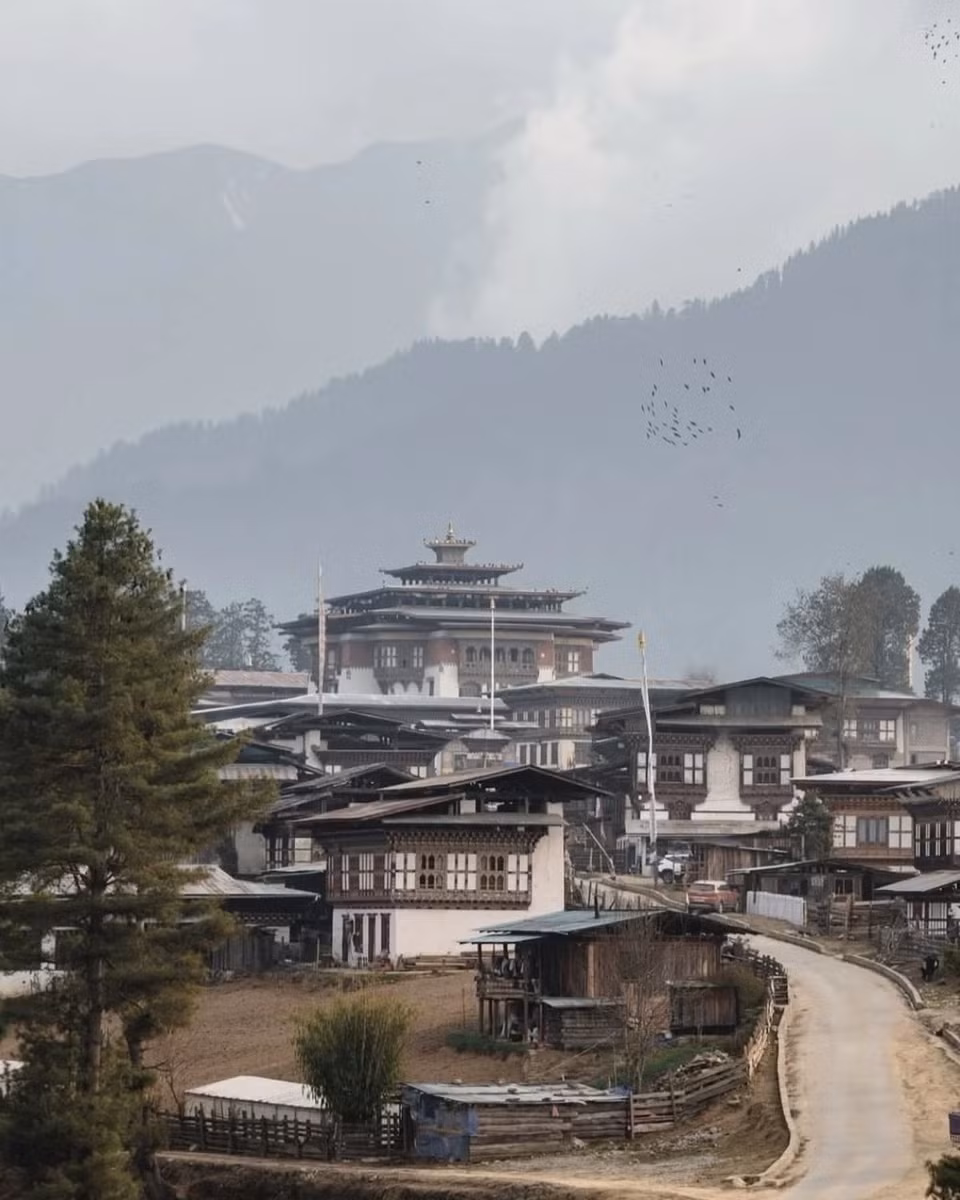 Khách sạn Gangtey Lodge ở Bhutan. Ảnh: @majalaxdal.