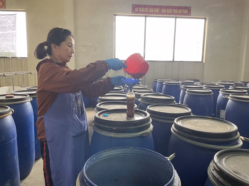 Sản xuất chế phẩm G-tex phục vụ trồng rau an toàn tại Công ty CP Đầu tư và Xây dựng Việt Long.