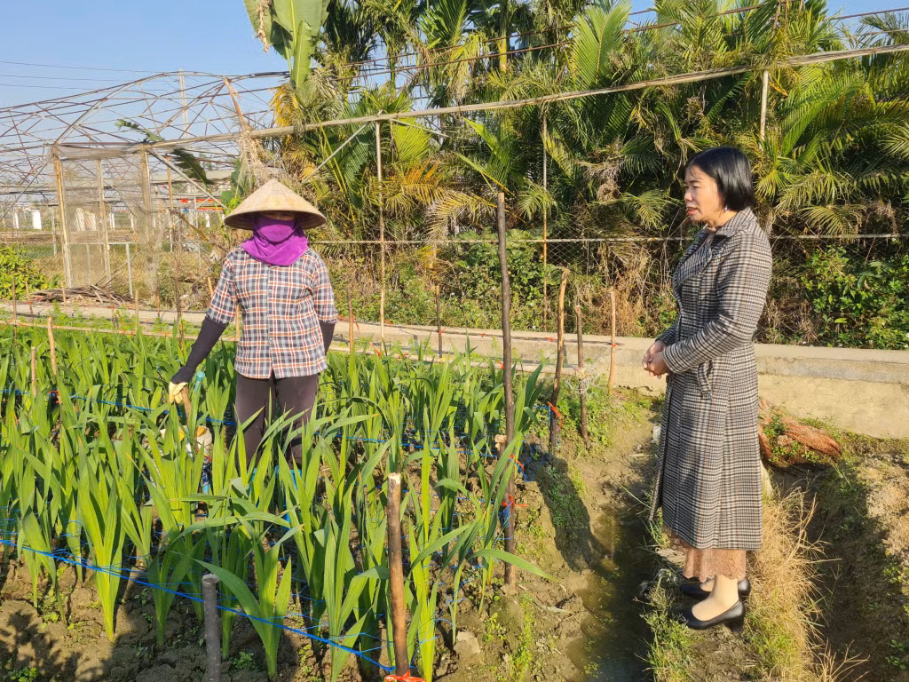 Lãnh đạo Hội Nông dân xã Tiền An trao đổi, trò chuyện, động viên các hộ trồng hoa trên địa bàn.