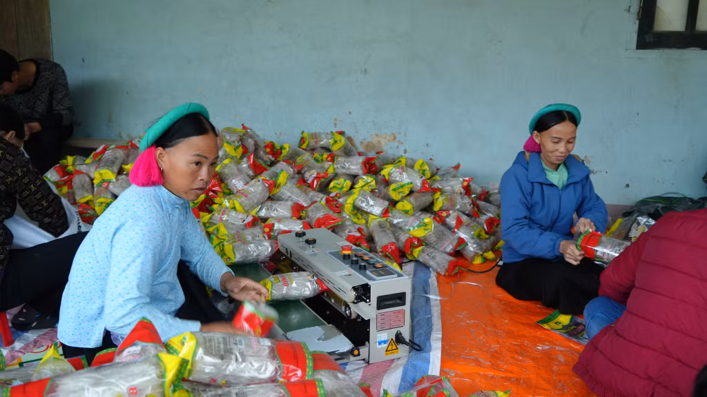 Người dân xã Húc Động (huyện Bình Liêu) phát triển nghề sản xuất miến dong nhờ có nguồn vốn vay từ chương trình tín dụng chính sách.
