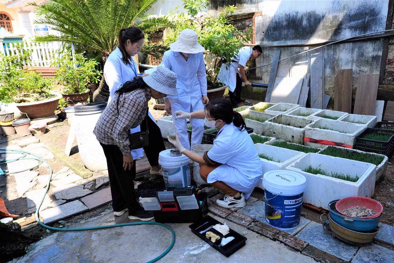 CDC Quảng Ninh phối hợp với Trung tâm Y tế Hạ Long và Trạm Y tế phường Việt Hưng triển khai công tác giám sát véc tơ truyền bệnh sốt xuất huyết trong các khu dân cư phường Việt Hưng.