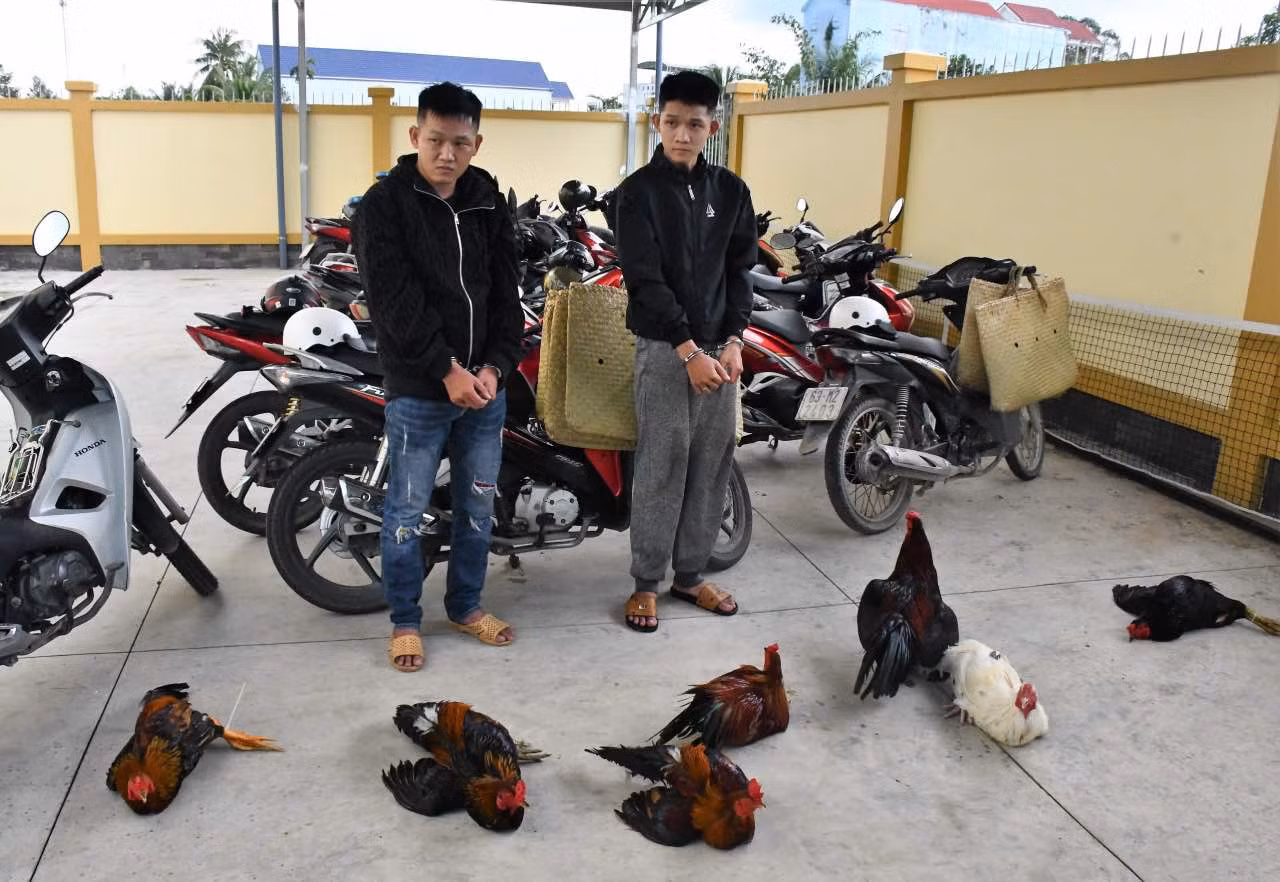 Tang vật 7 con gà bị hai đối tượng trộm cắp trong đêm. Ảnh: Công an tỉnh Đồng Tháp