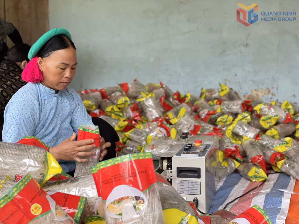 Đóng gói sản phẩm miến dong Bình Liêu.