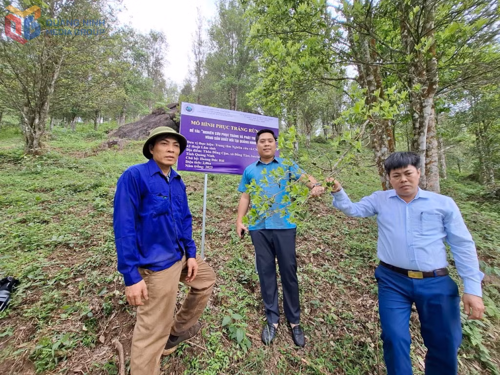 Lãnh đạo Sở KH&amp;CN kiểm tra mô hình phục tráng và phát triển rừng hồi của gia đình anh Hoàng Đức Hải, thôn Đồng Cậm, xã Hoành Mô.
