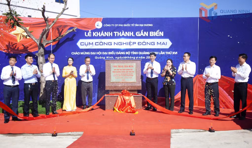 Đồng chí Nguyễn Văn Công, Phó Chủ tịch UBND tỉnh cùng lãnh đạo một số sở, ngành, địa phương là chủ đầu tư thực hiện nghi thức gắn biển công trình