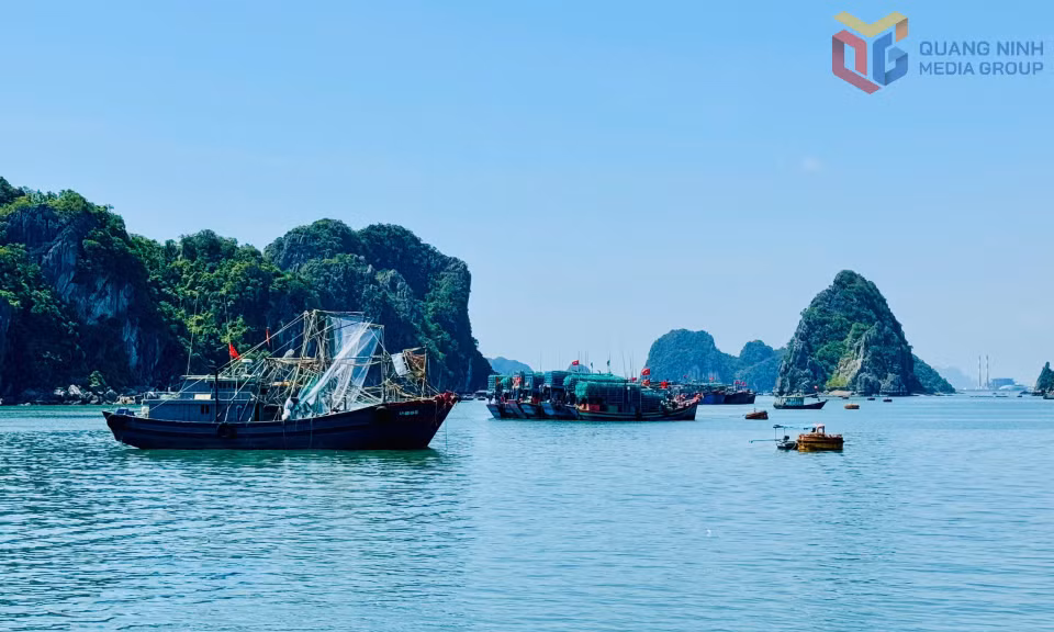 Tàu thuyền neo đậu tại khu vực tránh trú bão cảng Cái Rồng (đặc khu Vân Đồn).