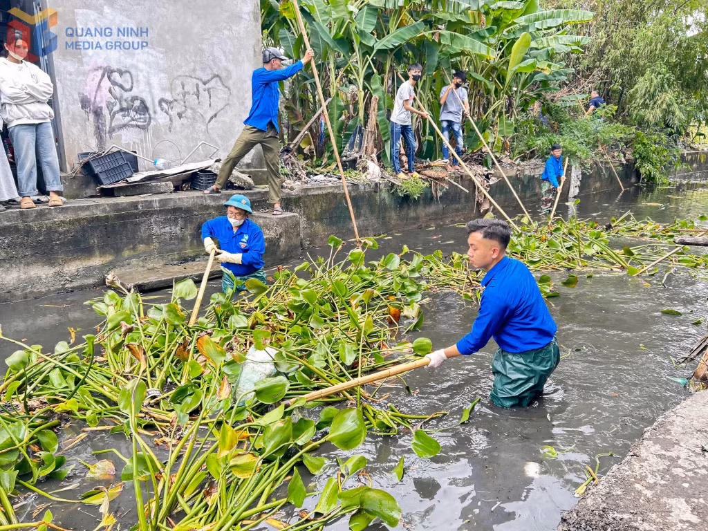 Đoàn thanh niên phường Liên Hòa