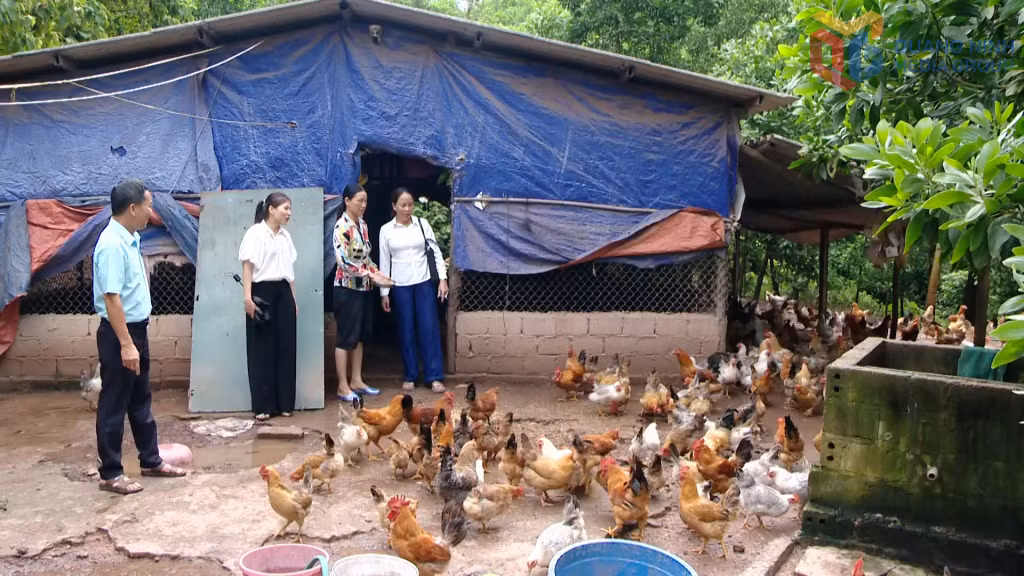 Bà Nguyễn Thị Huế (ngoài cùng, bên phải), Trưởng Ban công tác Mặt trận thôn Trường Tùng (xã Hải Lạng) thăm mô hình chăn nuôi gà của người dân.