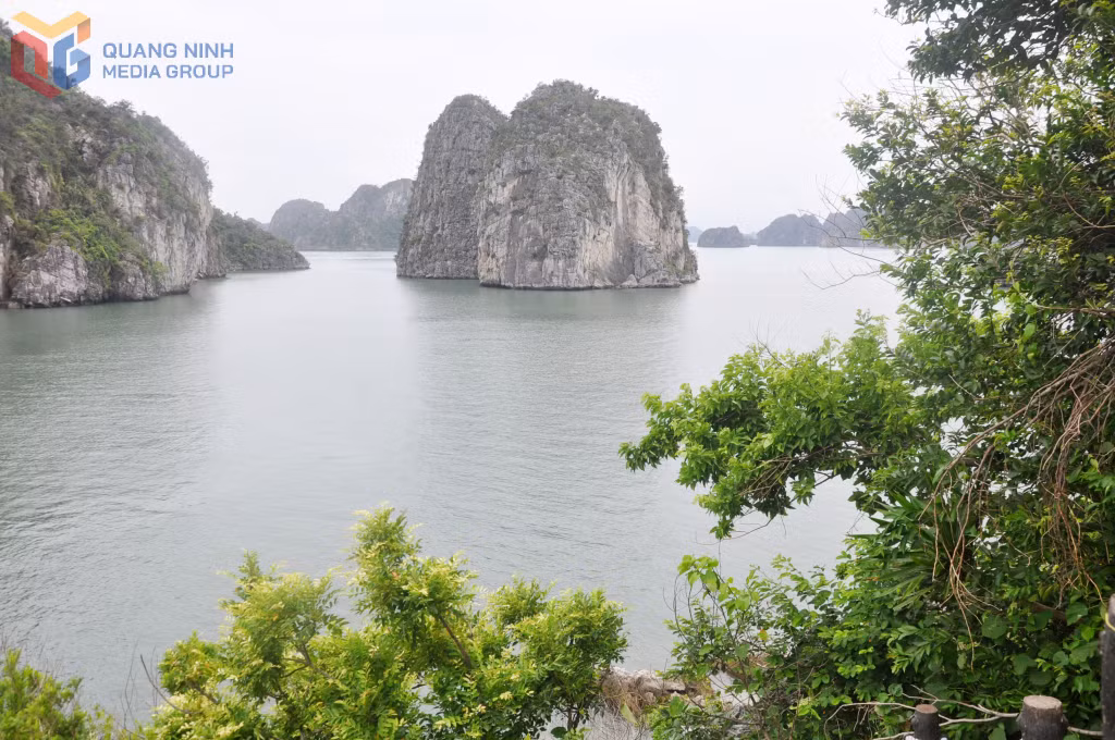 Khung cảnh nên thơ của vịnh Hạ Long nhìn từ đường dẫn lên hang Cỏ.