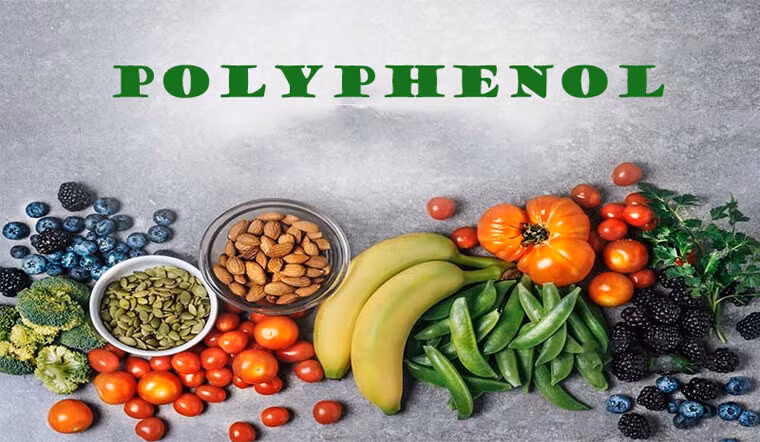 Polyphenol là nhóm các hợp chất chống oxy hóa mạnh mẽ, có nguồn gốc tự nhiên từ thực vật, giúp bảo vệ tế bào khỏi tổn thương do gốc tự do gây ra