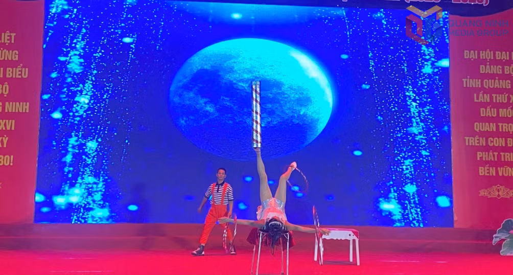 Một tiết mục biểu diễn xiếc.