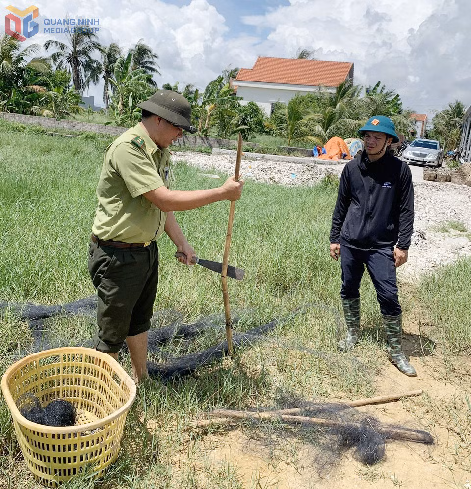 Qua kiểm tra, lực lượng chức năng đã thu giữ 70 cọc tre, 1.500m lưới và 2 bộ loa phát tín hiệu dùng để bẫy chim.