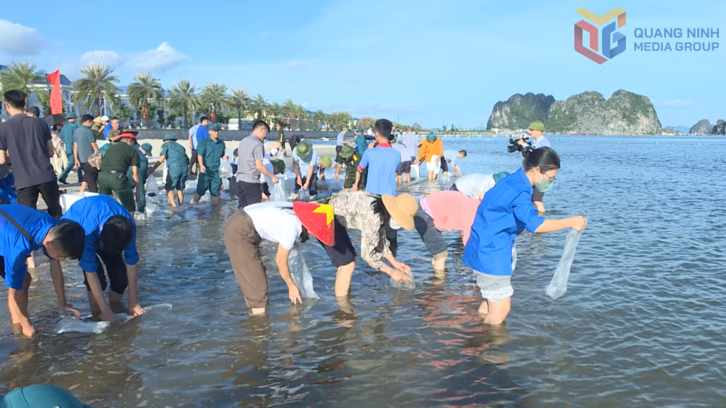 Hơn 1 triệu giống các loại gồm: tôm sú, cá song, cá vược đã được thả về môi trường tự nhiên tại chương trình.