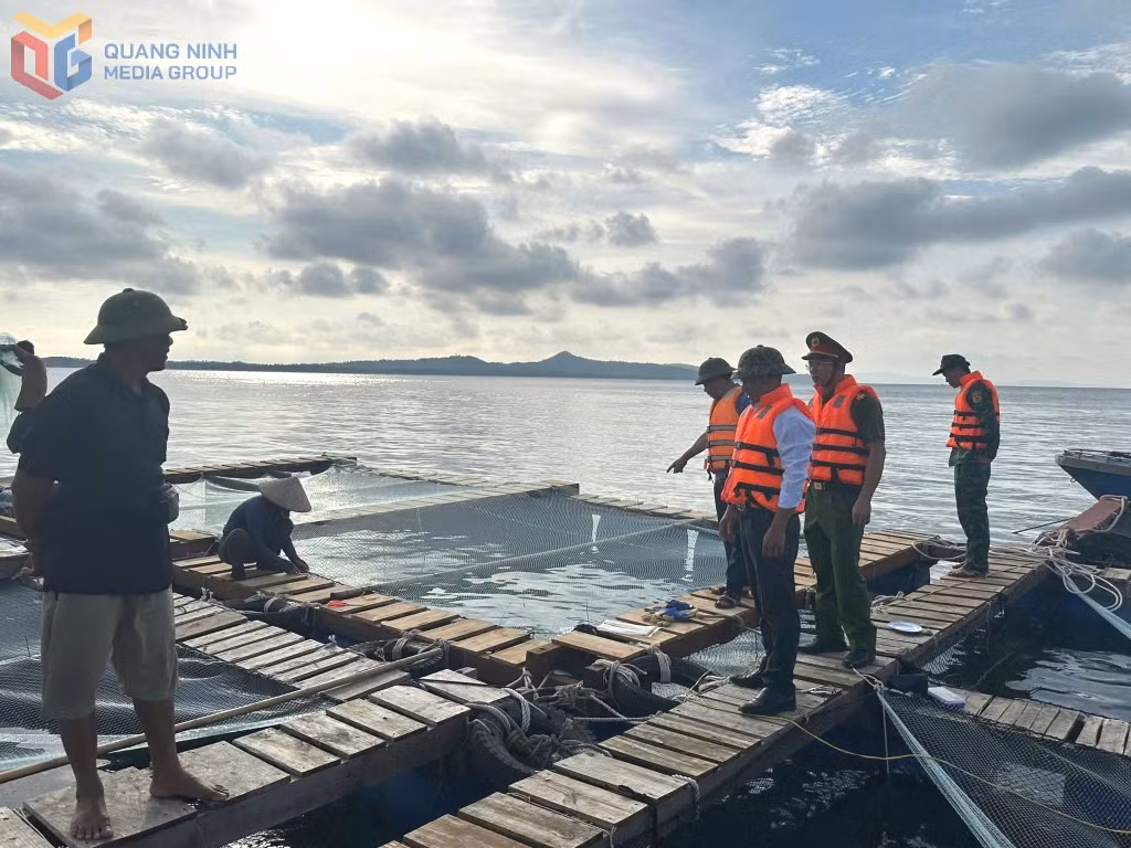 Đồn BP Thanh Lân và Công an Đặc khu, các tổ công tác của Đặc khu triển khai đưa tàu thuyền vào tránh trú bão số 9.