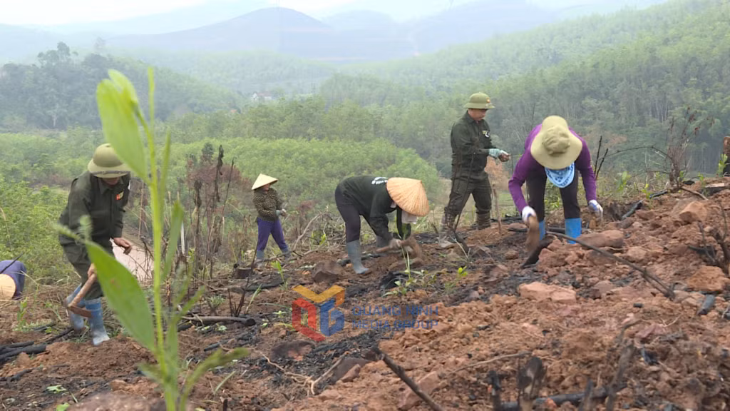 Toàn tỉnh đã hoàn thành việc trồng và bảo vệ 4.375,7 ha rừng.