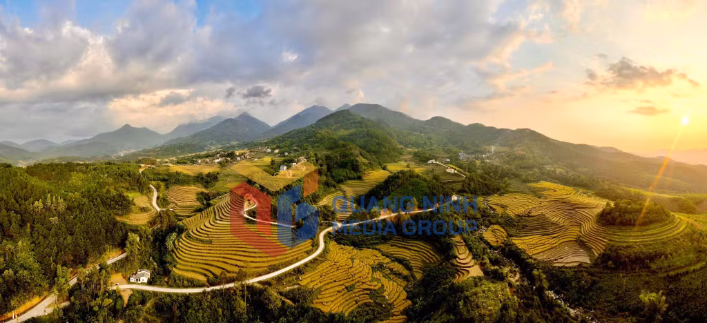 Mùa vàng Bình Liêu. Ảnh: Đỗ Phương