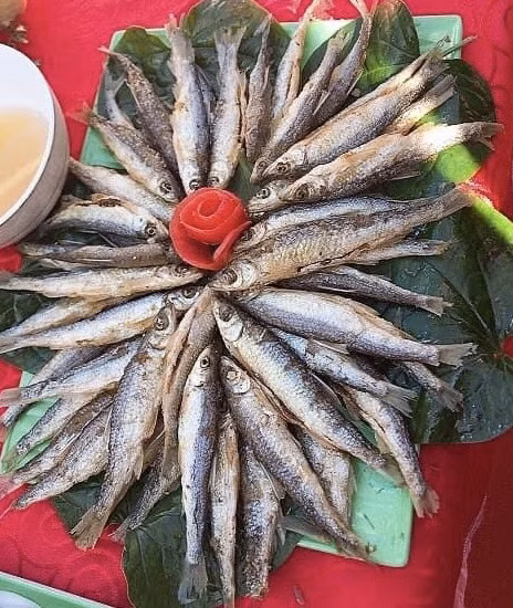 cá