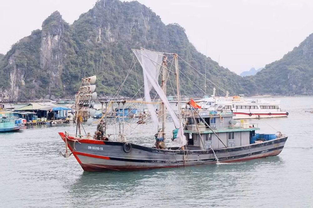 Hiện tàu cá mang biển kiểm soát QN-90095-TS của chủ tàu Bùi Phương Tuyển đã được chạy thử nghiệm phần mềm.