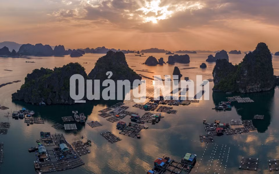 Một sớm mùa thu Vịnh Hạ Long (3-2018). Ảnh: Nguyễn Đức Thành