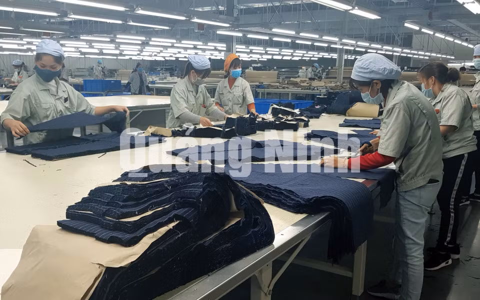 Sản xuất tại Công ty TNHH May mặc Hoa Lợi Đạt Việt Nam (2-2019). Ảnh: Thái Cảnh