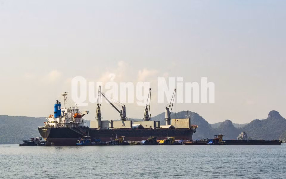 Những con tàu chờ than ảnh 7