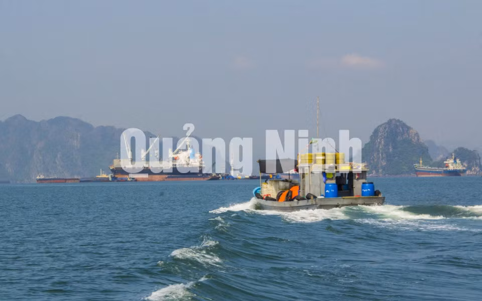 Những con tàu chờ than ảnh 8