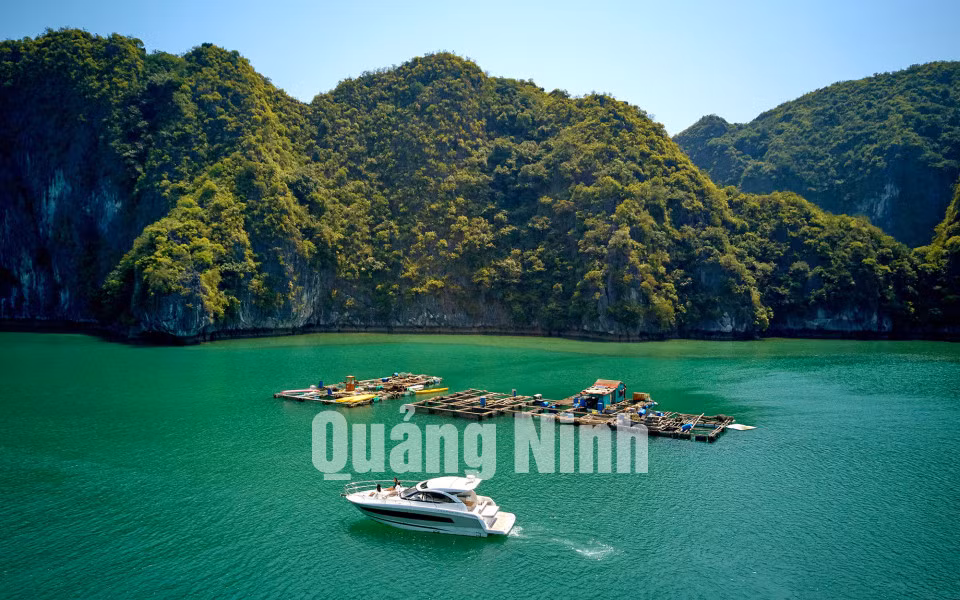 Du thuyền thăm vịnh Hạ Long (12-2019). Ảnh: Hùng Sơn