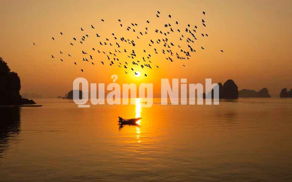 Bình minh Bái Tử Long (6-2020). Ảnh: Dương Phượng Đại
