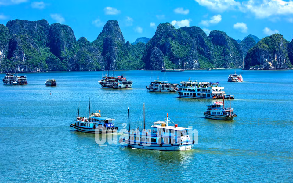Nhộn nhịp Hạ Long (6-2018). Ảnh: Dương Văn Toàn