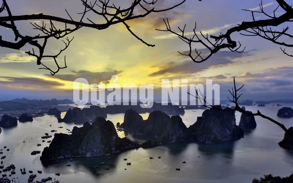 Bình minh Hạ Long. Ảnh: Dương Phượng Đại