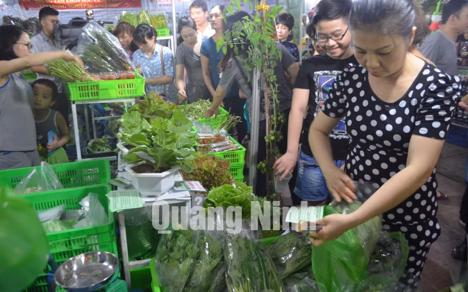 Sản phẩm rau sạch của Công ty CP Đầu tư Song Hành Quảng Ninh được bày bán tại hội chợ OCOP Quảng Ninh. Ảnh: Cao Quỳnh