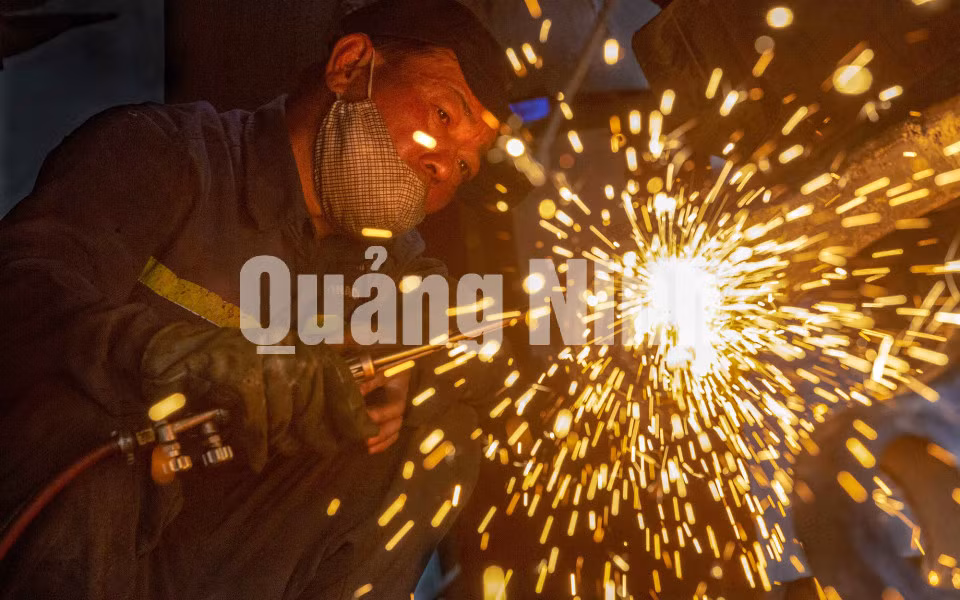 Hoa người thợ (thợ cơ khí Công ty Than Cao Sơn) (5-2020). Ảnh: Dương Phượng Đại