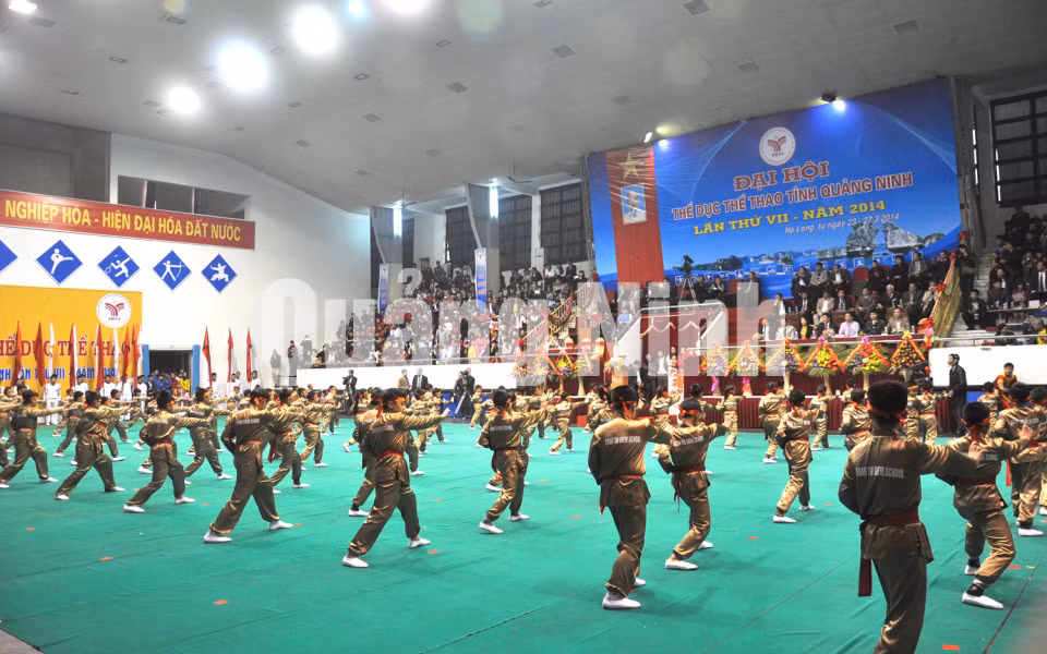 Màn biểu diễn võ thuật của các em học sinh tiểu học.