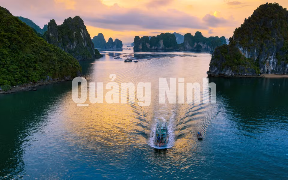 Tầu đánh cá trên Vịnh. Ảnh: Thành Chung